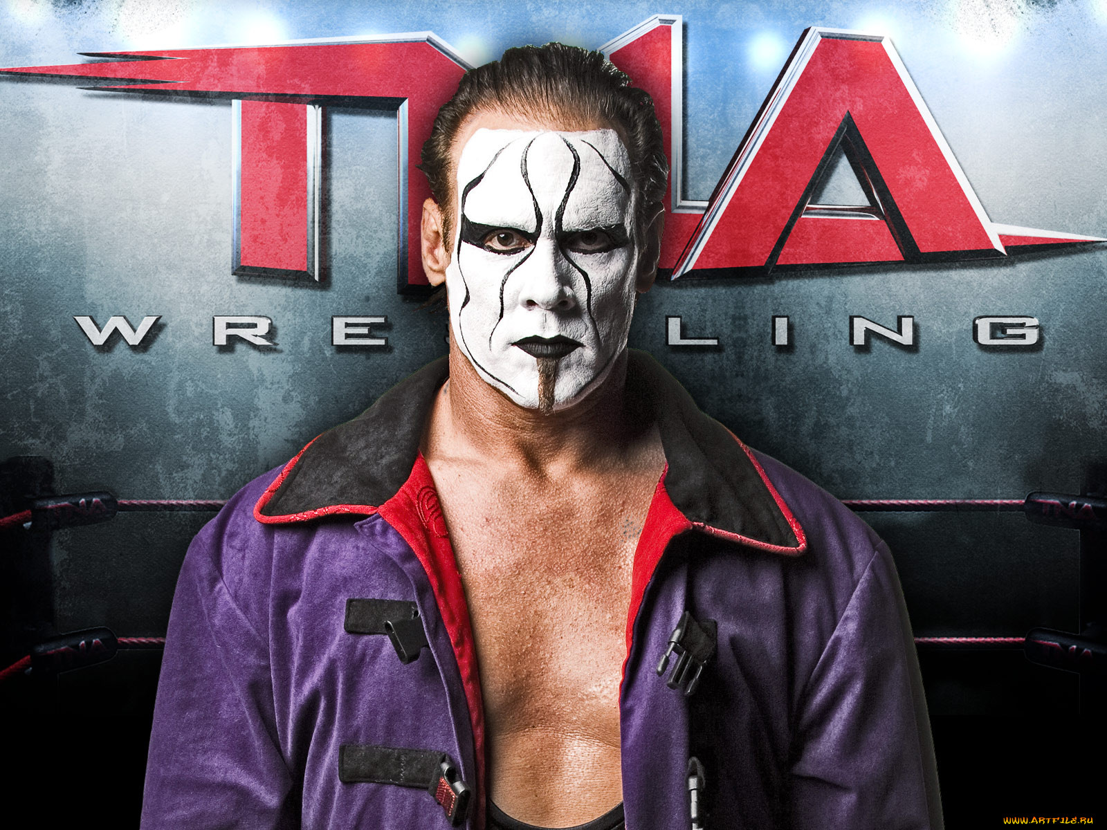 sting, , wwe
